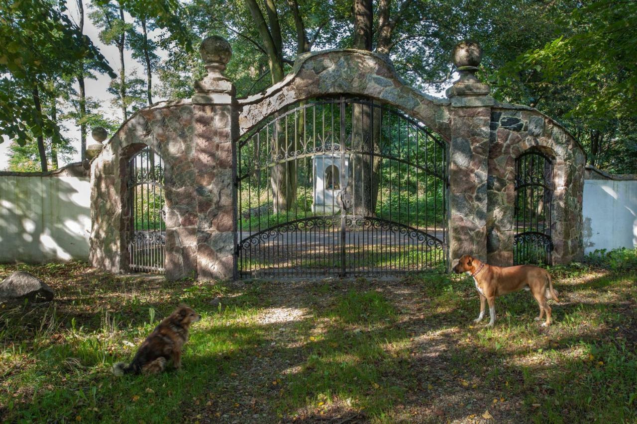 Dom Lowczego Gnoyna Park Guest House Radziejowice Exterior photo